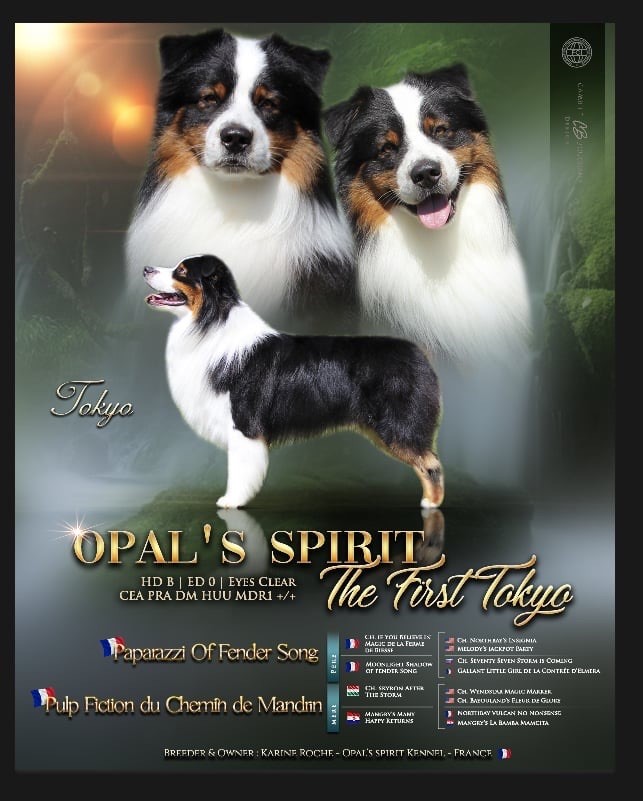 Opal's Spirit The first tokyo