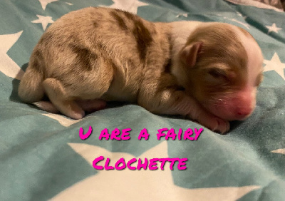 U are a fairy CLOCHETTE 
